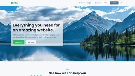 Zero-Downtime Platform Migration - Project Preview